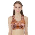 Electric Field Art XVIII Sports Bra with Border View1