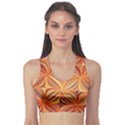 Electric Field Art XLVI Sports Bra View1