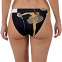 Pernis Champagne Band Bikini Bottom View2