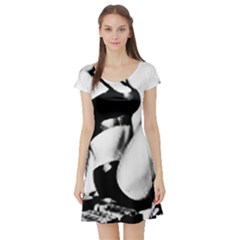 Pinup Girl Short Sleeve Skater Dress