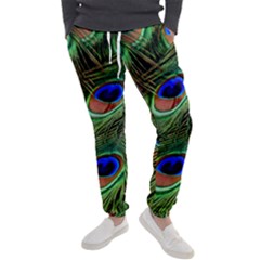 Peacock Feathers Men s Jogger Sweatpants