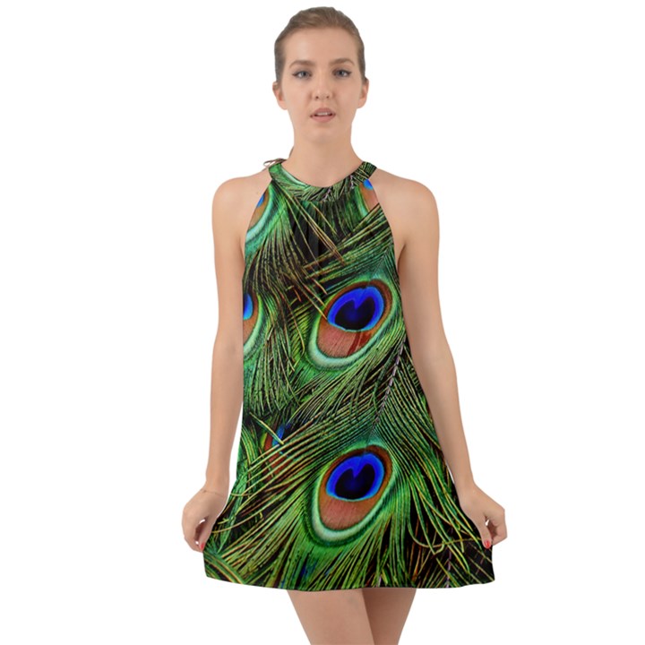 Peacock Feathers Halter Tie Back Chiffon Dress