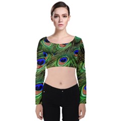 Peacock Feathers Velvet Long Sleeve Crop Top by snowwhitegirl