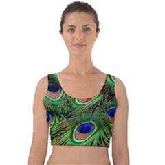 Peacock Feathers Velvet Crop Top