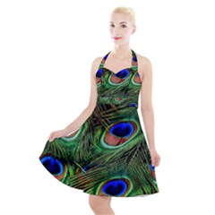 Peacock Feathers Halter Party Swing Dress 