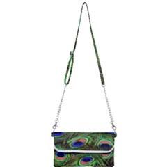 Peacock Feathers Mini Crossbody Handbag