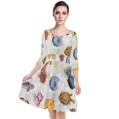 Sea World Vintage Pattern Quarter Sleeve Waist Band Dress