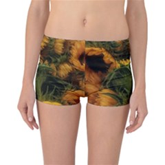 Bunch Of Sunflowers Reversible Boyleg Bikini Bottoms