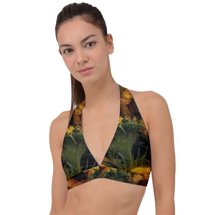 Bunch of Sunflowers Halter Plunge Bikini Top