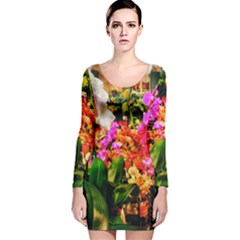 Orchids In The Market Long Sleeve Velvet Bodycon Dress