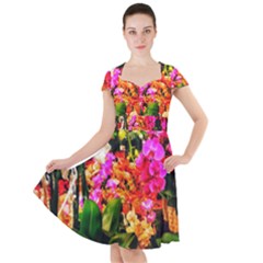 Orchids In The Market Cap Sleeve Midi Dress