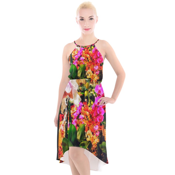 Orchids in the Market High-Low Halter Chiffon Dress 