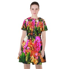 Orchids In The Market Sailor Dress