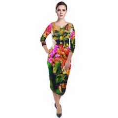 Orchids In The Market Quarter Sleeve Midi Velour Bodycon Dress