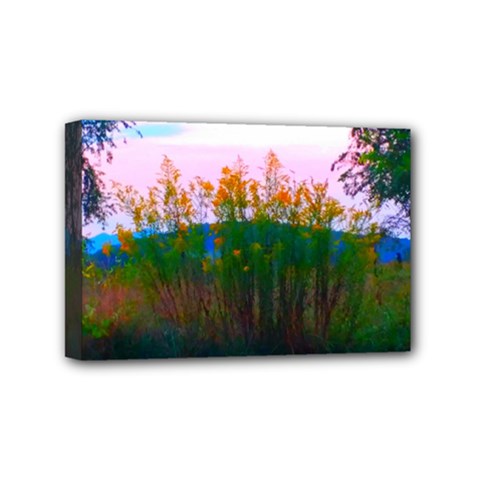 Field Of Goldenrod Mini Canvas 6  X 4  (stretched)