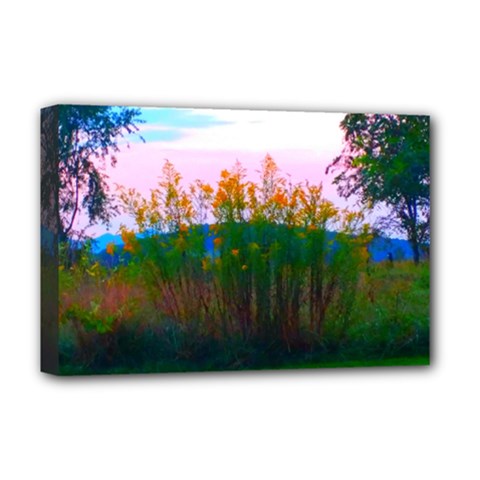 Field Of Goldenrod Deluxe Canvas 18  X 12  (stretched) by okhismakingart