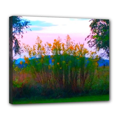 Field Of Goldenrod Deluxe Canvas 24  X 20  (stretched) by okhismakingart