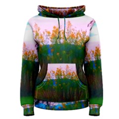 Field Of Goldenrod Women s Pullover Hoodie by okhismakingart