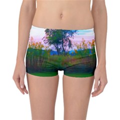 Field Of Goldenrod Reversible Boyleg Bikini Bottoms by okhismakingart