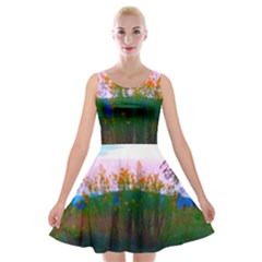 Field Of Goldenrod Velvet Skater Dress by okhismakingart