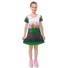 Field Of Goldenrod Kids  Short Sleeve Velvet Dress