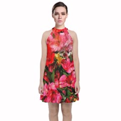 Lovely Lilies  Velvet Halter Neckline Dress 