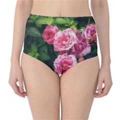 Summer Roses Classic High-waist Bikini Bottoms