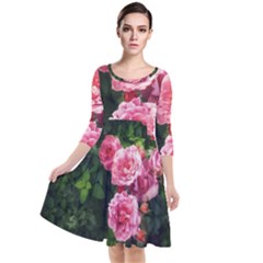 Summer Roses Quarter Sleeve Waist Band Dress