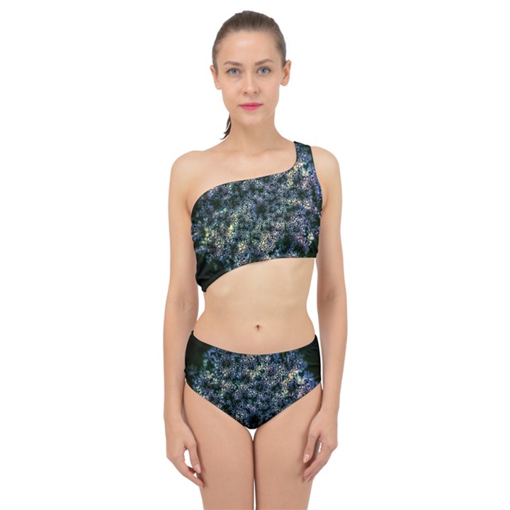 Queen Annes Lace in Blue and Yellow Spliced Up Two Piece Swimsuit