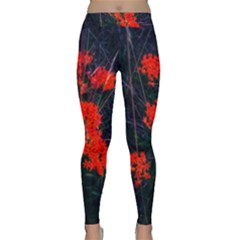 Neon Orange Butterfly Weed Classic Yoga Leggings by okhismakingart