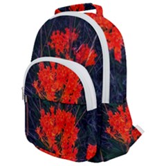 Neon Orange Butterfly Weed Rounded Multi Pocket Backpack