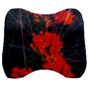 Neon Orange Butterfly Weed Velour Head Support Cushion View1