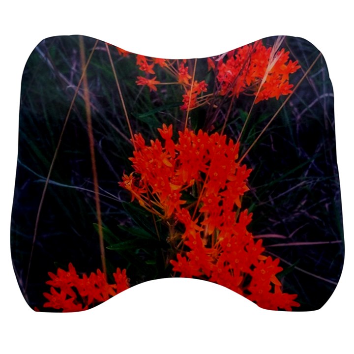 Neon Orange Butterfly Weed Velour Head Support Cushion