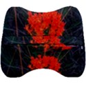 Neon Orange Butterfly Weed Velour Head Support Cushion View2