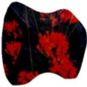 Neon Orange Butterfly Weed Velour Head Support Cushion View3