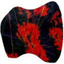 Neon Orange Butterfly Weed Velour Head Support Cushion View4