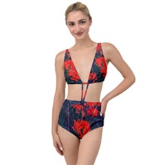 Neon Orange Butterfly Weed Tied Up Two Piece Swimsuit