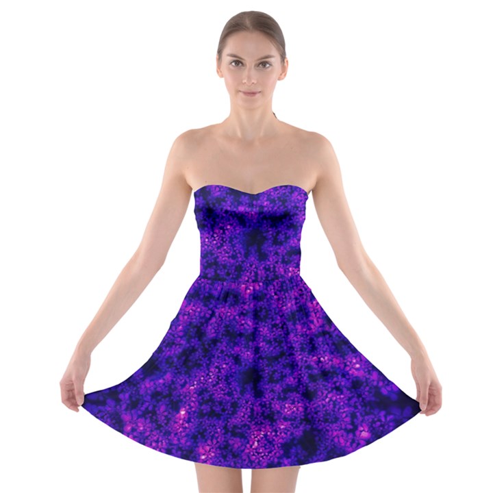 Queen Annes Lace in Blue and Purple Strapless Bra Top Dress