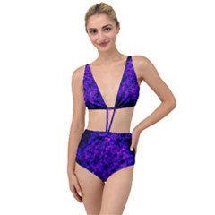 Queen Annes Lace In Blue And Purple Tied Up Two Piece Swimsuit by okhismakingart