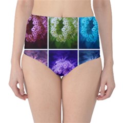 Closing Queen Annes Lace Collage (horizontal) Classic High-waist Bikini Bottoms by okhismakingart