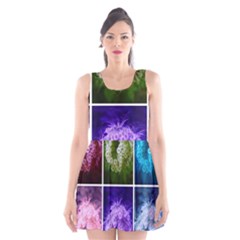 Closing Queen Annes Lace Collage (horizontal) Scoop Neck Skater Dress by okhismakingart