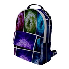 Closing Queen Annes Lace Collage (horizontal) Flap Pocket Backpack (large) by okhismakingart