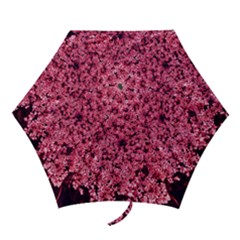 Queen Annes Lace In Red Part Ii Mini Folding Umbrellas by okhismakingart