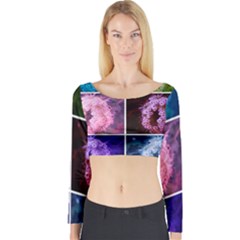 Closing Queen Annes Lace Collage (vertical) Long Sleeve Crop Top by okhismakingart