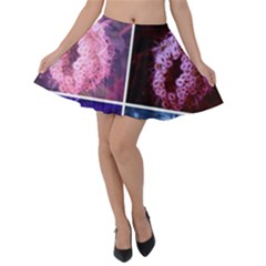 Closing Queen Annes Lace Collage (vertical) Velvet Skater Skirt by okhismakingart