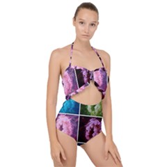 Closing Queen Annes Lace Collage (vertical) Scallop Top Cut Out Swimsuit by okhismakingart