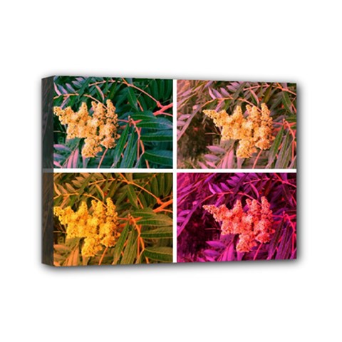 Sideways Sumac Collage Mini Canvas 7  X 5  (stretched) by okhismakingart