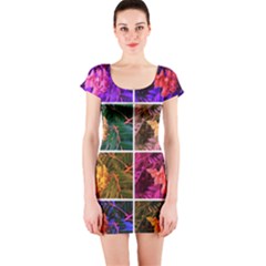 Sideways Sumac Collage Short Sleeve Bodycon Dress by okhismakingart