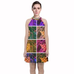 Sideways Sumac Collage Velvet Halter Neckline Dress  by okhismakingart