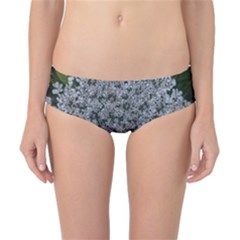 Queen Annes Lace Original Classic Bikini Bottoms by okhismakingart